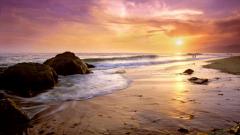 Portfolio slider image